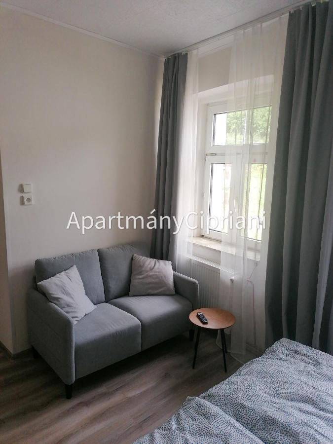 Apartmany Cipriani Яхимів Екстер'єр фото